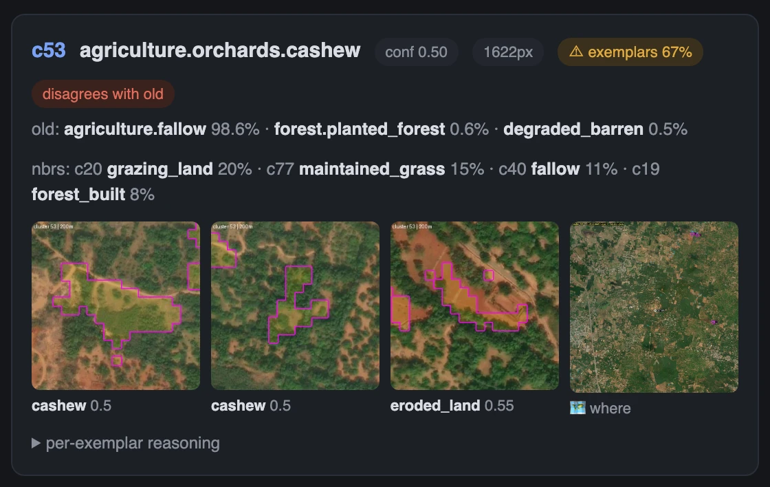 A review.html card: cluster c53 votes cashew against the old map's fallow — three exemplar crops, one dissenting verdict, a locator